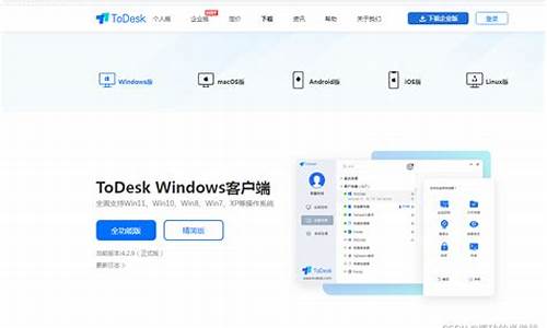 todesk 源码